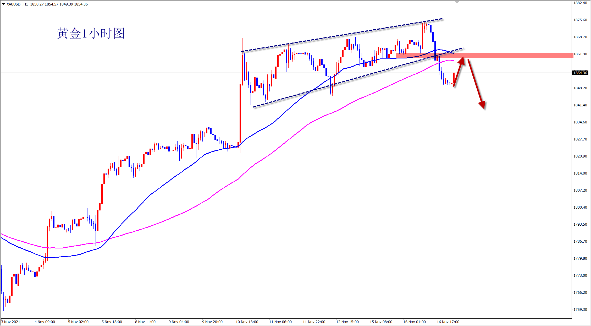 2021-11-17 8-57-58.png