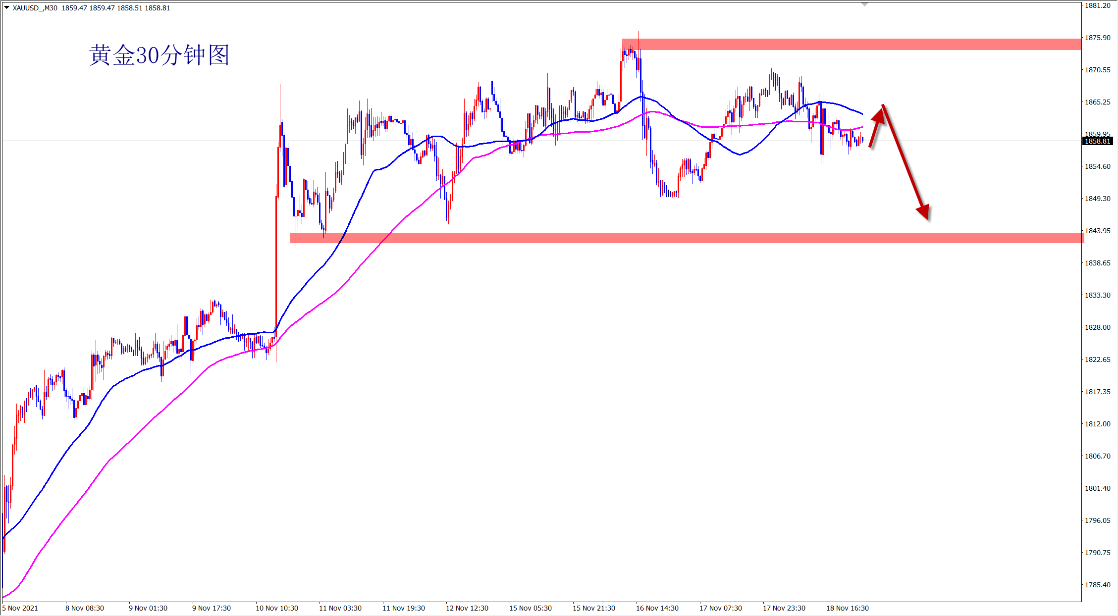 2021-11-19 8-57-37.png