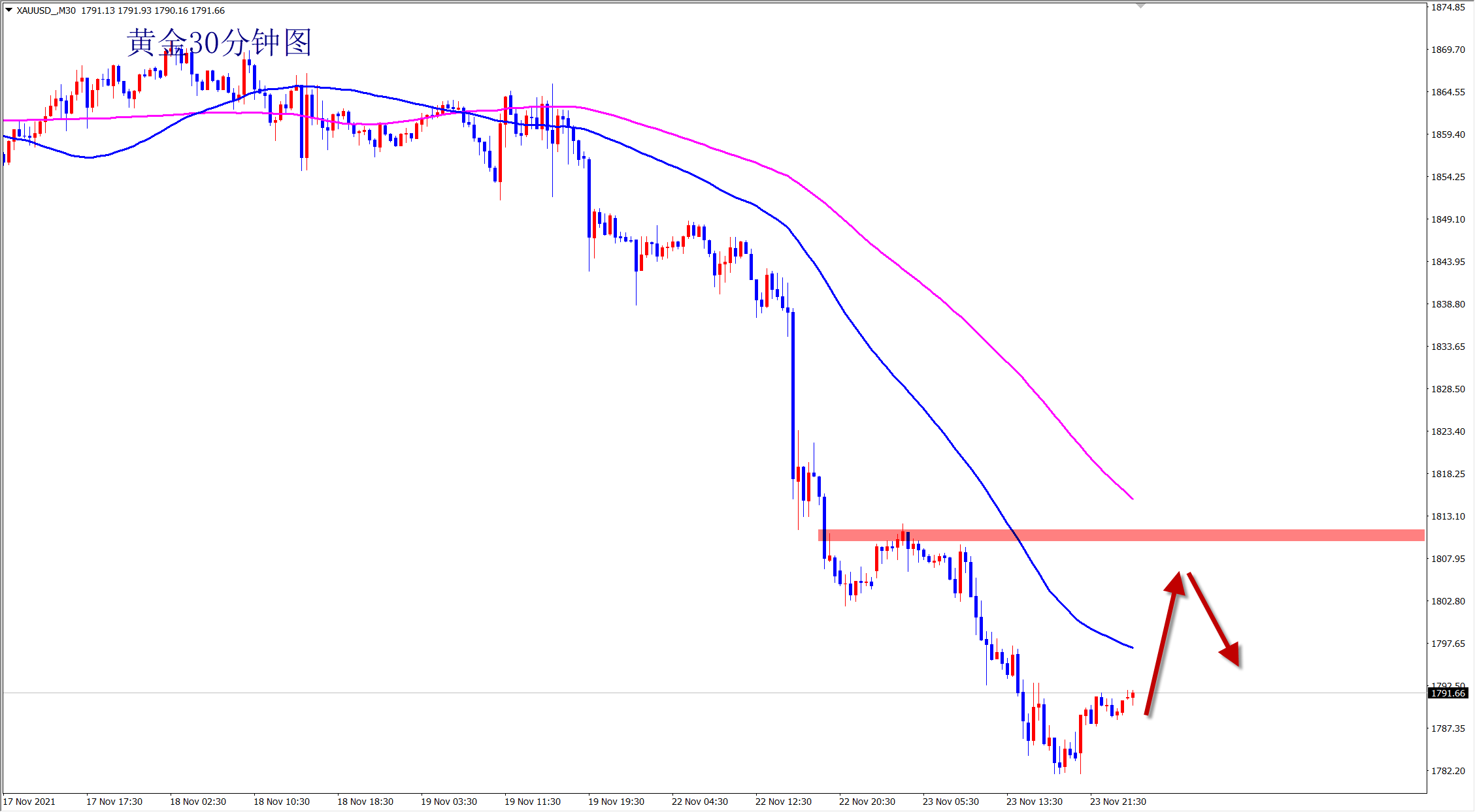 2021-11-24 8-53-32.png